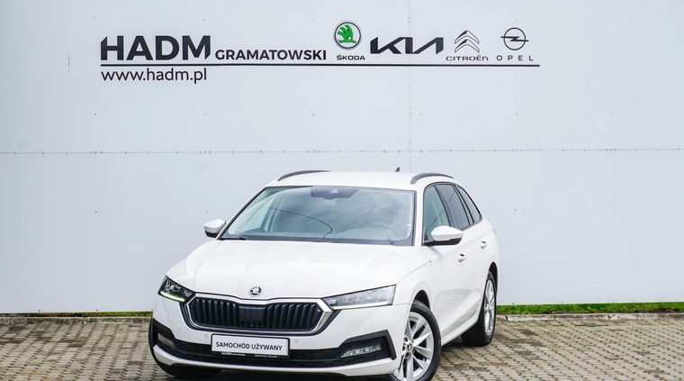 Skoda Octavia cena 79900 przebieg: 186500, rok produkcji 2021 z Nowy Targ małe 79